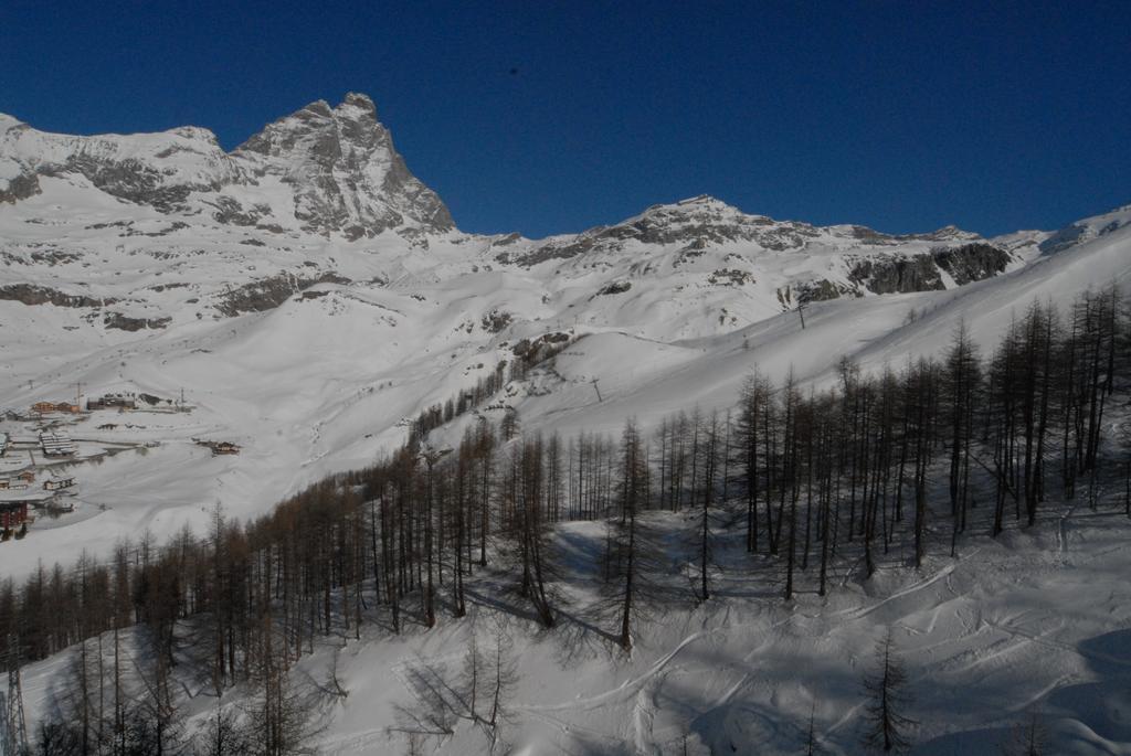 La Coquille Apartment Breuil-Cervinia Dış mekan fotoğraf